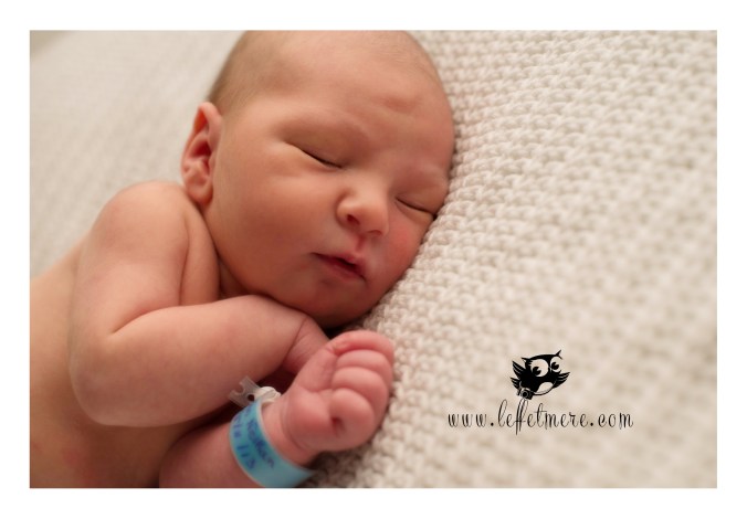 photographe montauban