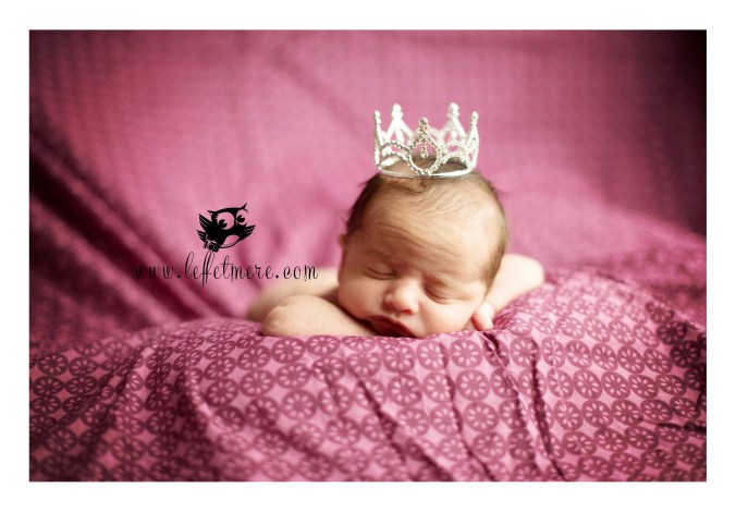 photographe montauban