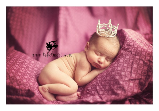 photographe montauban