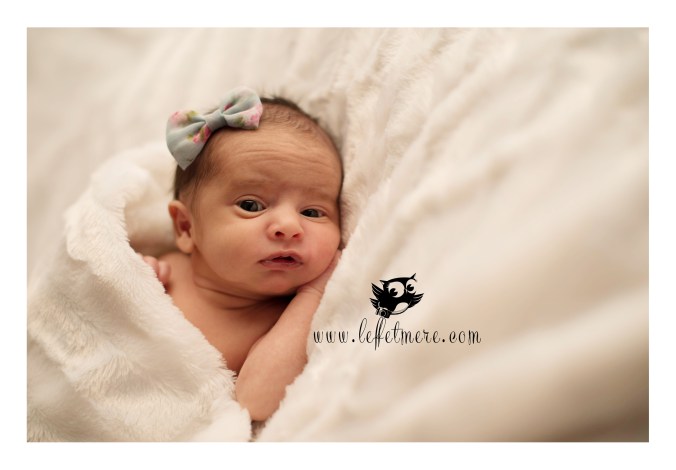 photographe montauban