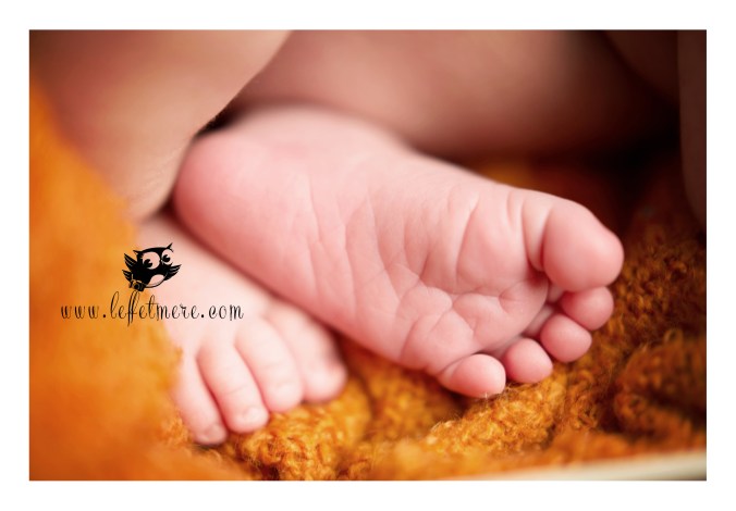 photographe montauban