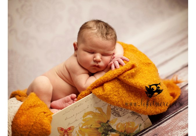 photographe montauban