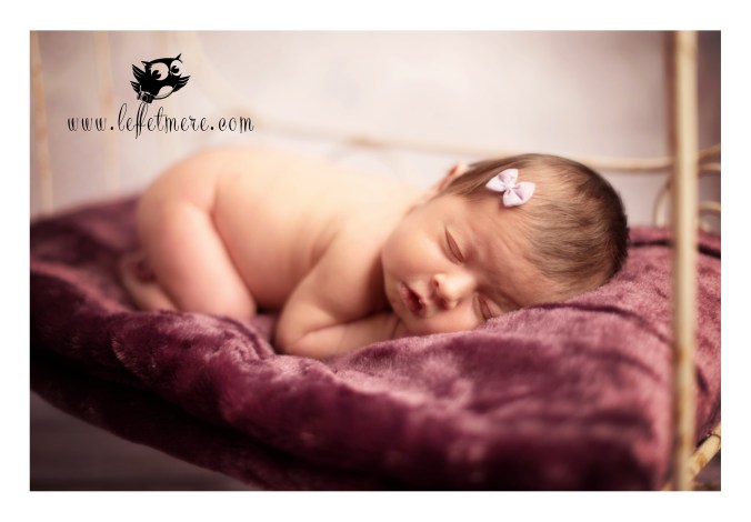 Photographe montauban