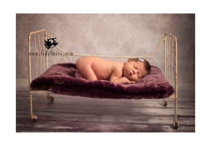 Photographe montauban