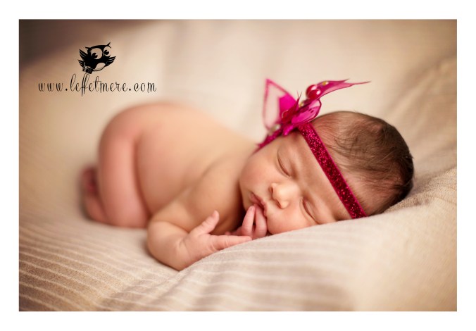 Photographe montauban