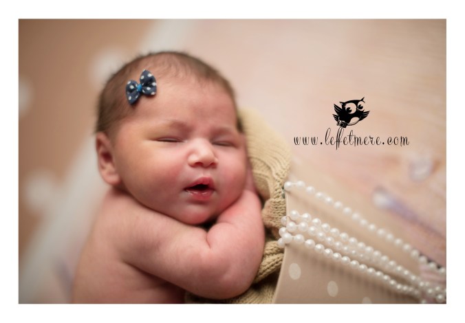 Photographe montauban