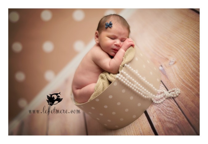 Photographe montauban