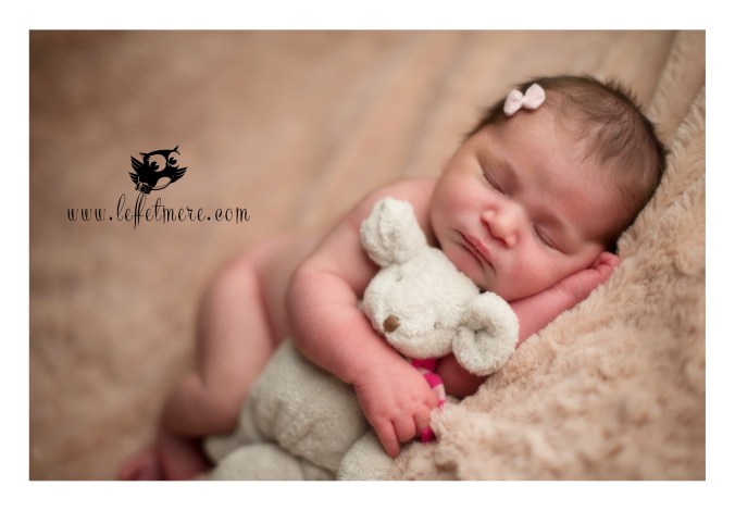 Photographe montauban