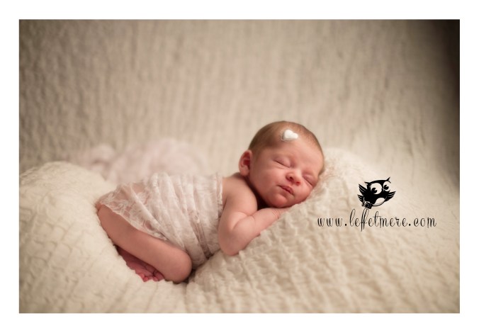 Photographe montauban