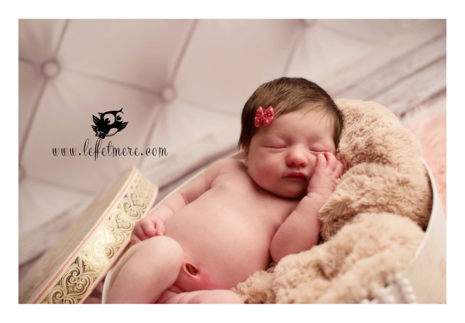 Photographe montauban