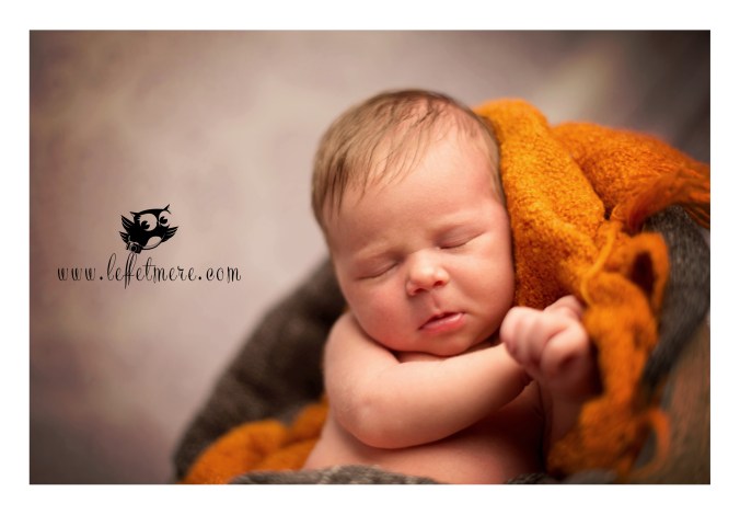 Photographe montauban