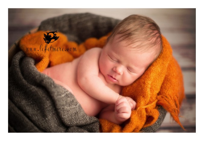 Photographe montauban