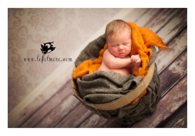 Photographe montauban