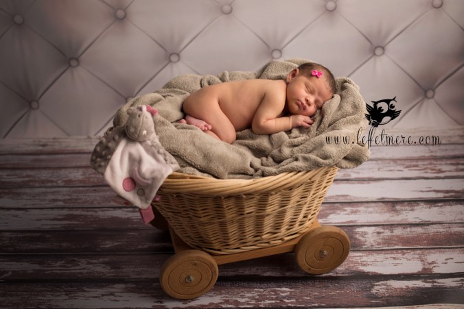 Photographe montauban bébé