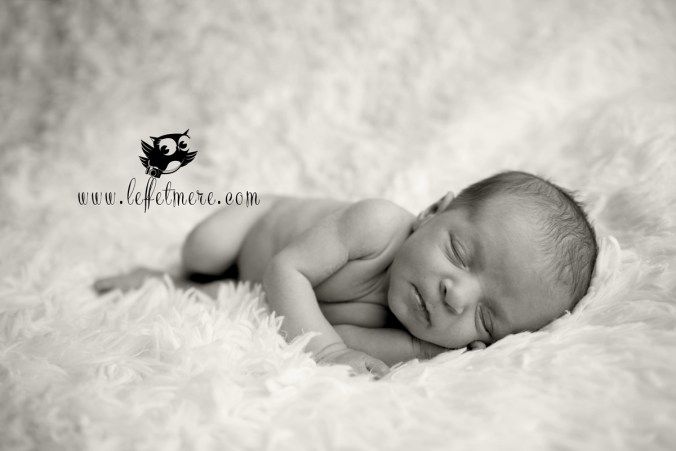 Photographe montauban