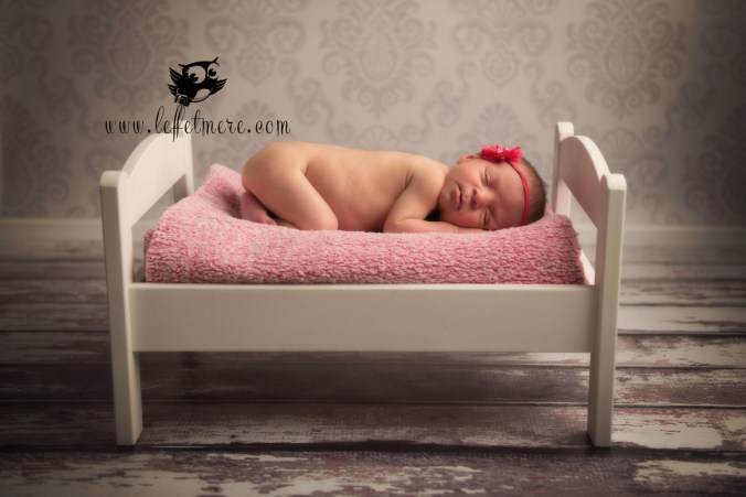 Photographe montauban