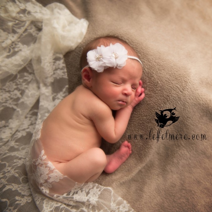 Photographe montauban