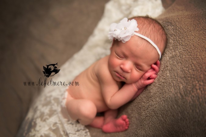 Photographe montauban