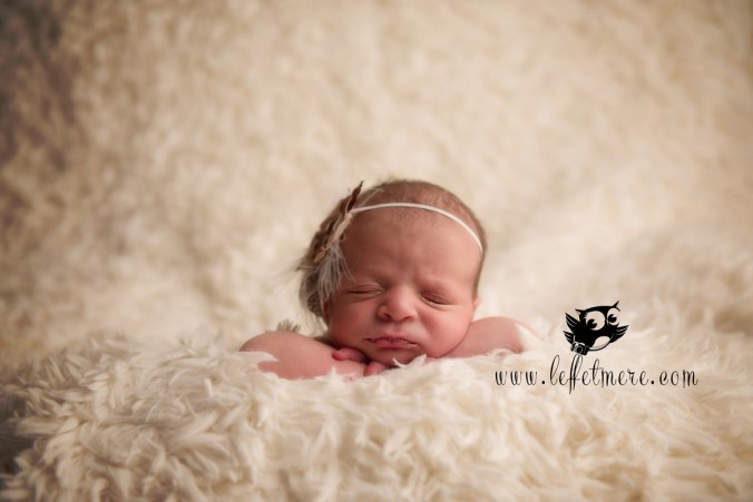 Photographe montauban