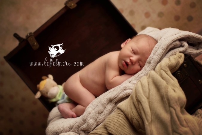 photographe montauban