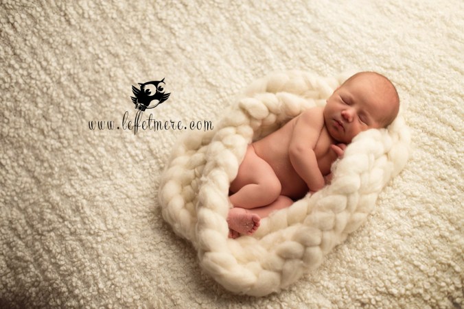 photographe montauban