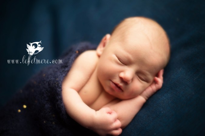 photographe montauban