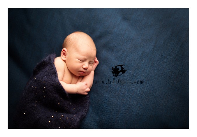 Photographe montauban