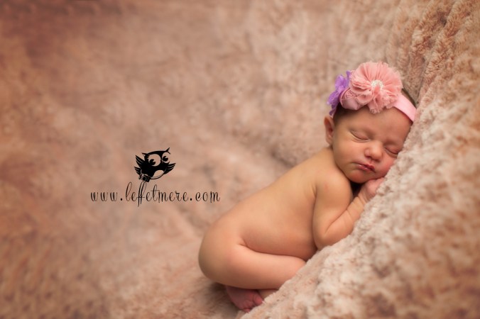 Photographe montauban