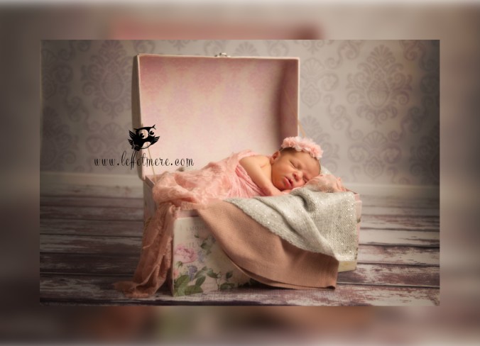 Photographe montauban