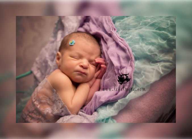 Photographe montauban