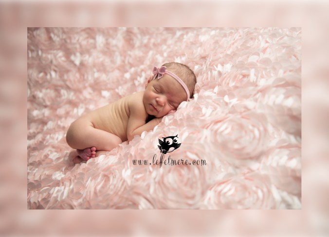 Photographe montauban