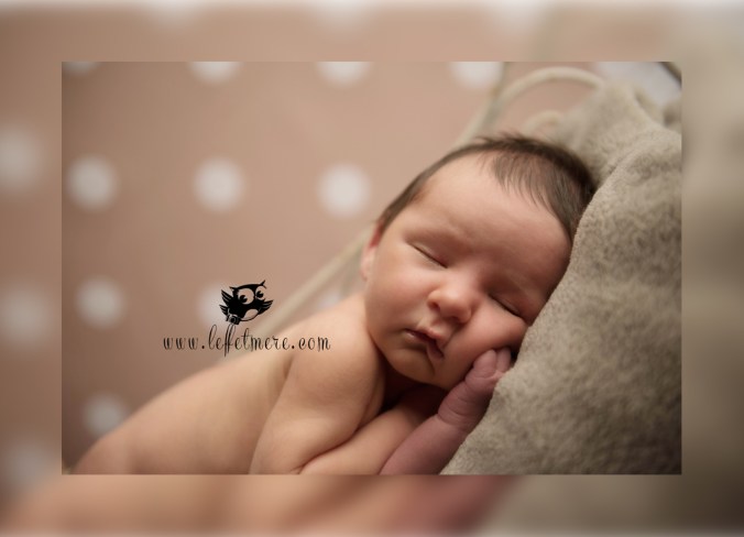 Photographe montauban