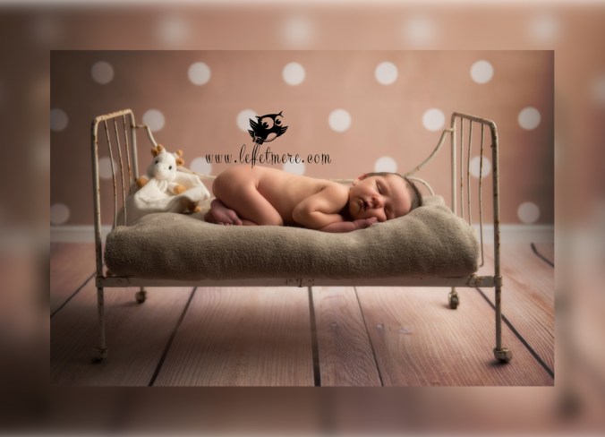 Photographe montauban