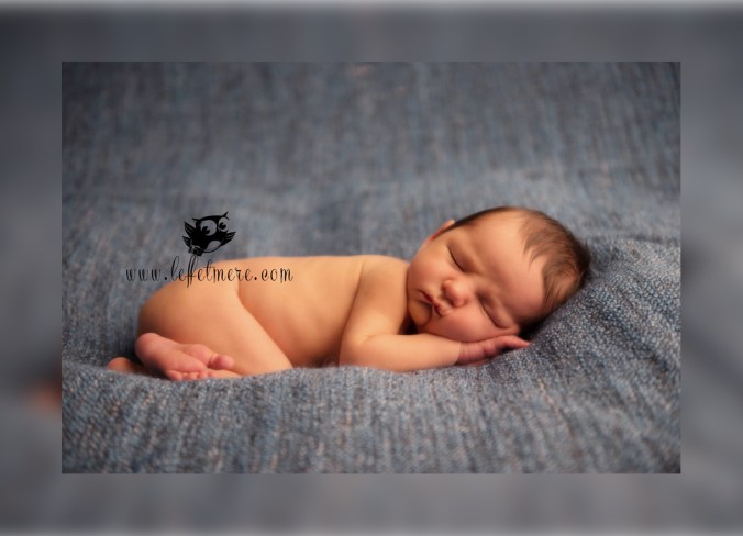 Photographe montauban