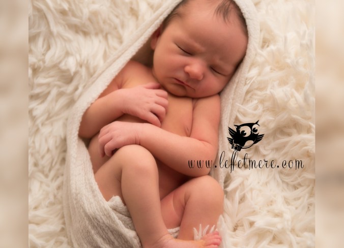 Photographe montauban