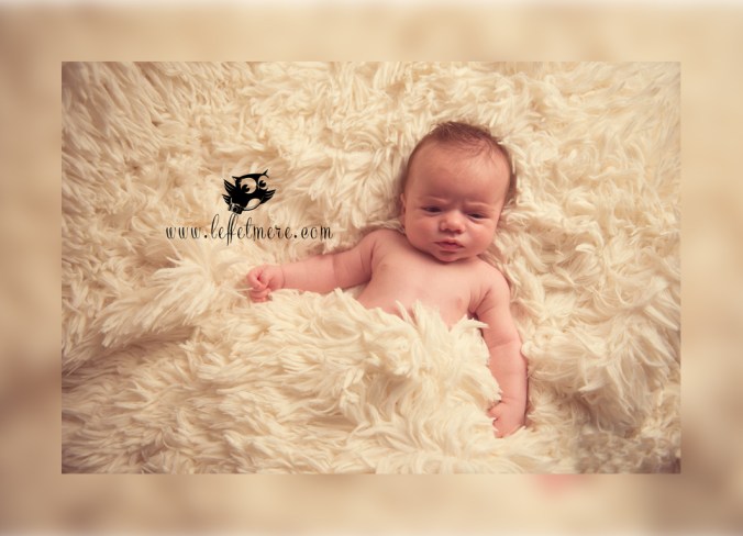 Photographe montauban