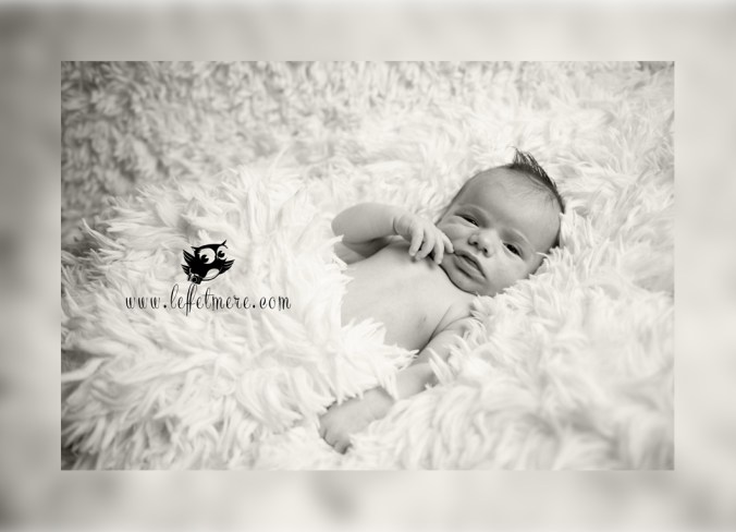 Photographe montauban