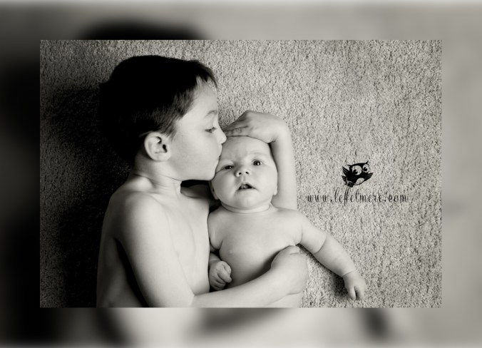 Plume photographe montauban