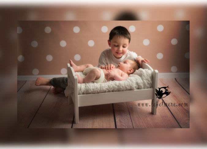 Plume photographe montauban