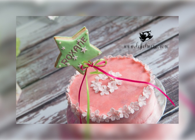 Photographe Montauban