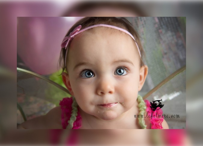 Photographe Montauban