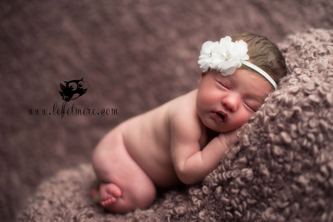 Photographe montauban