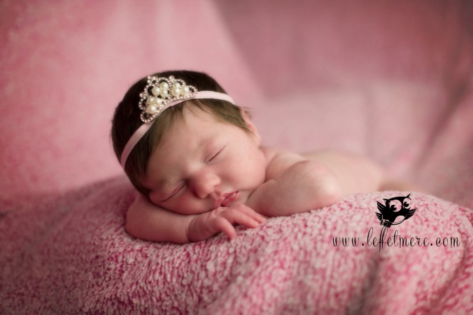 Photographe montauban