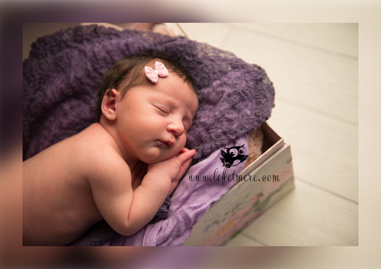 Photographe Montauban