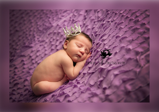 Photographe Montauban