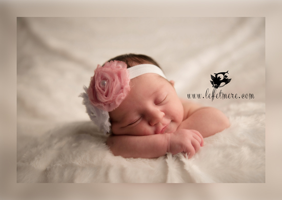 Photographe Montauban