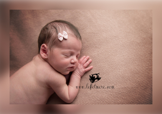 Photographe Montauban