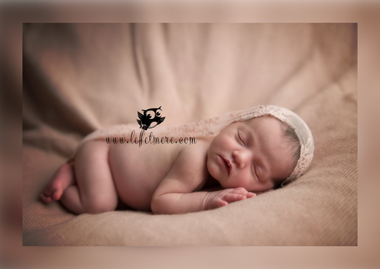 Photographe Montauban