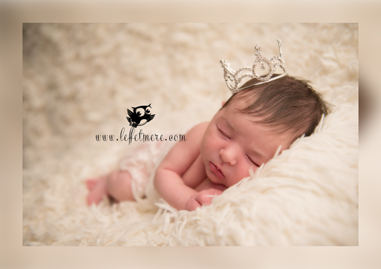 Photographe Montauban