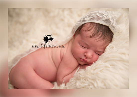 Photographe Montauban